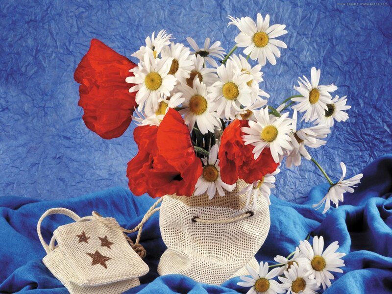 Daisies and Poppies in Sack