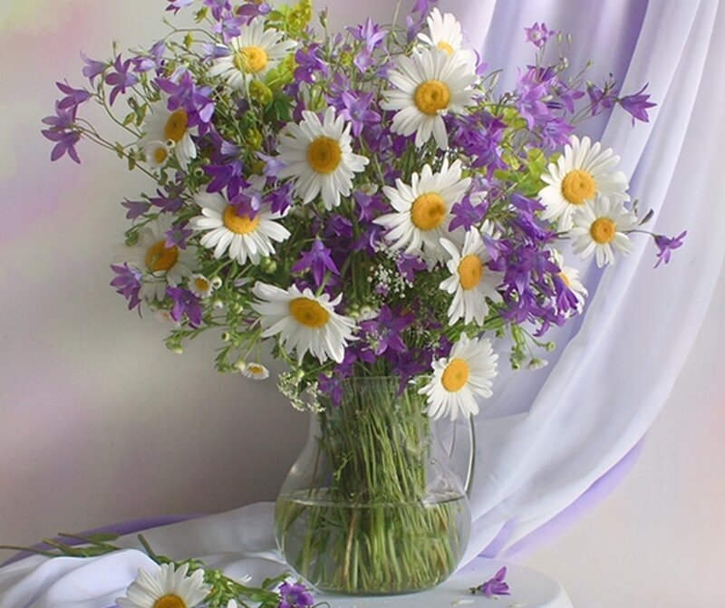Daisies and Purple Flowers — White