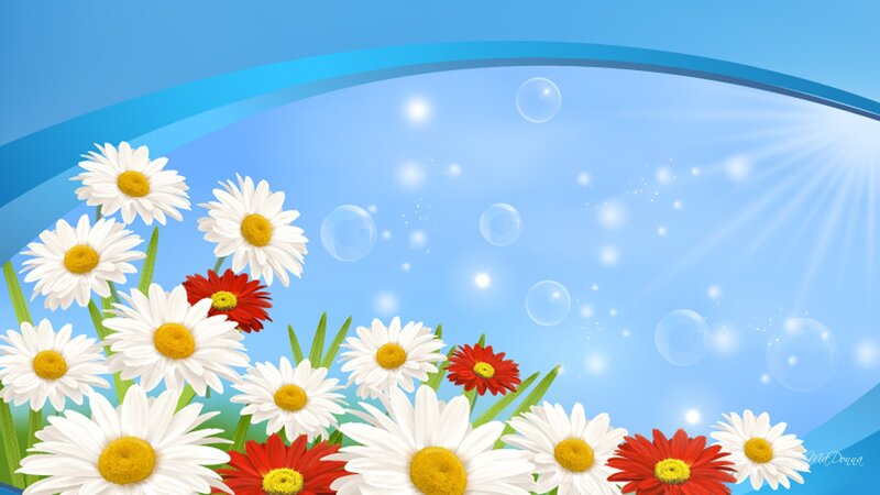 Daisies and Red Flowers — Blue