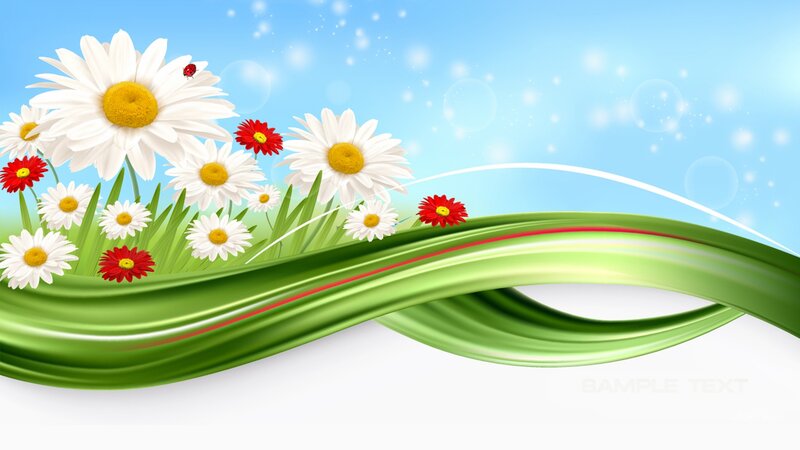 Daisies and Red Flowers