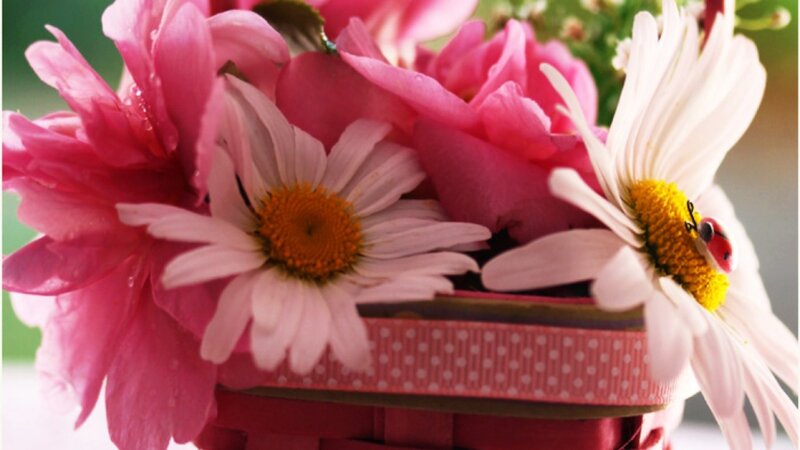 Daisies and Roses in Basket