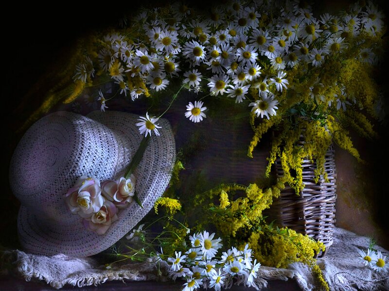 Daisies and Straw Hat
