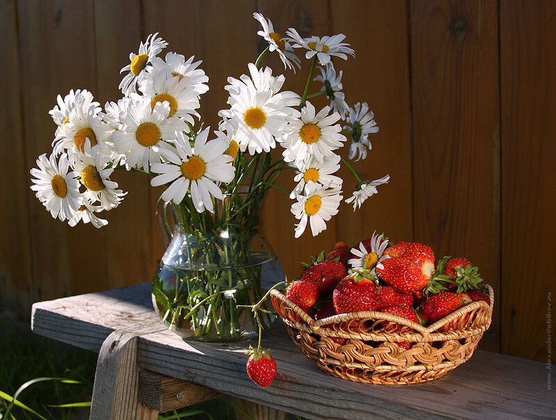 Daisies and strawberries on a bench
