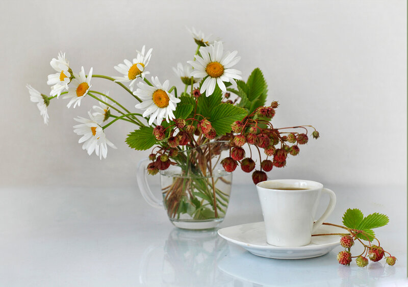 Daisies and Strawberries — White, Serene