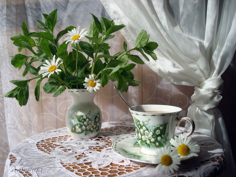 Daisies and Tea Cup