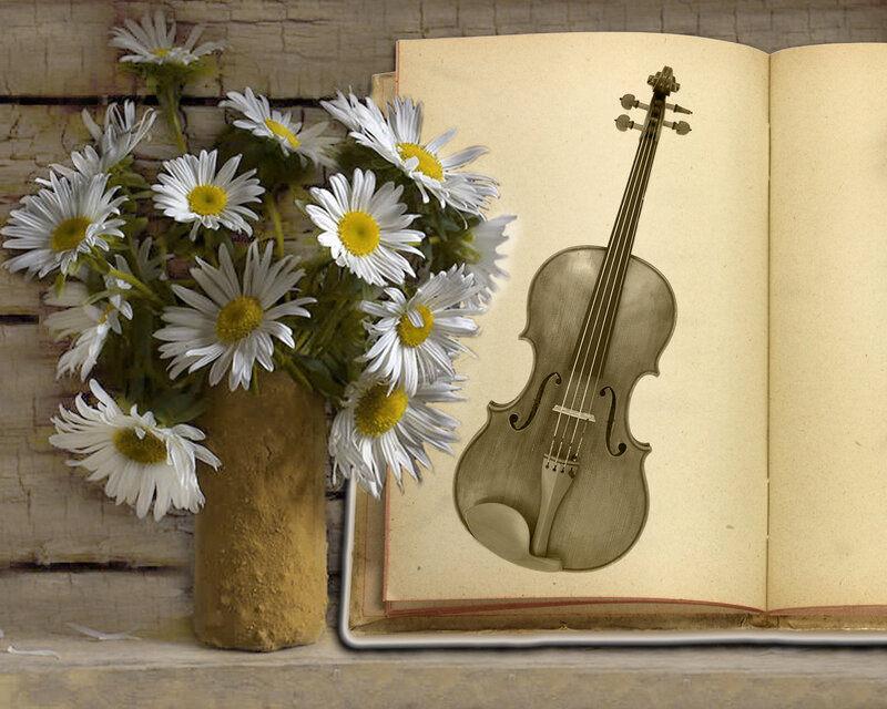 Daisies and Violin Book