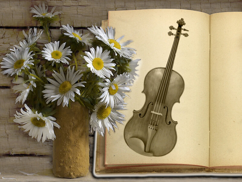 Daisies and Violin Book — White