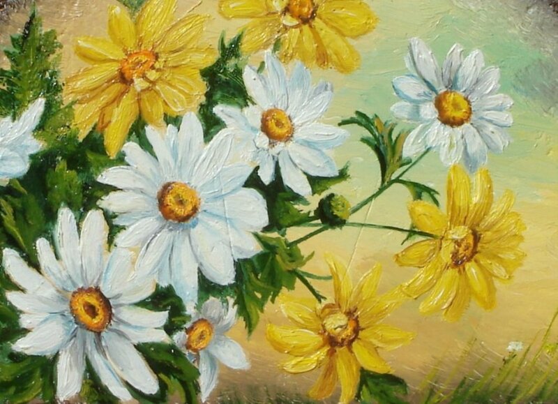 Daisies and Yellow Flowers — Bright, Afternoon