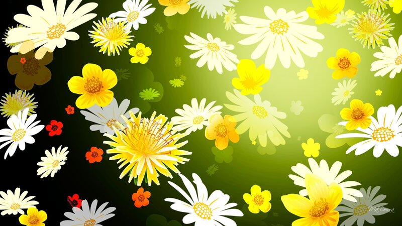 Daisies and Yellow Flowers — Green