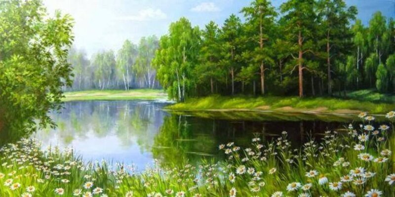 Daisies by a Lake — Green, Serene, Afternoon
