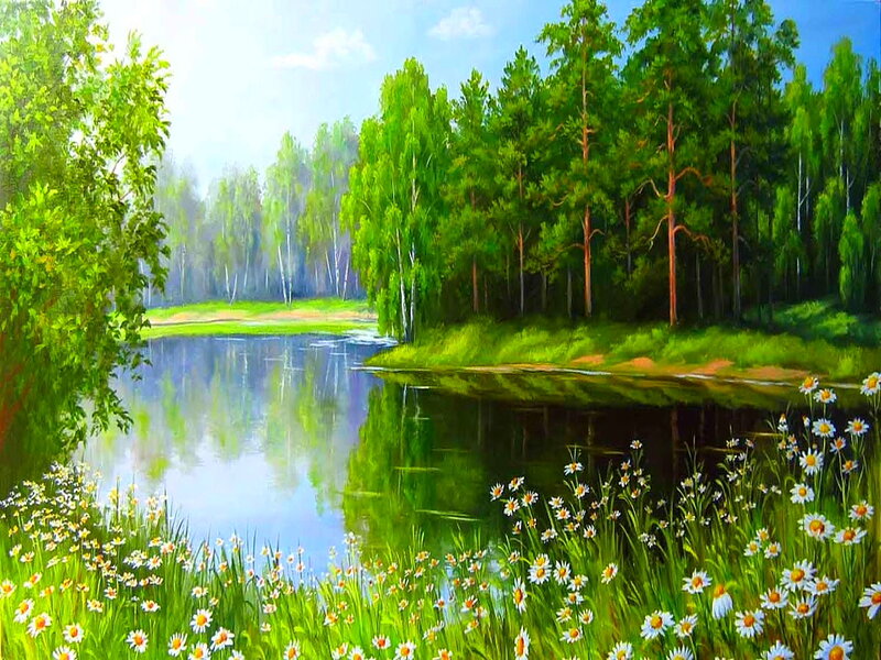 Daisies by a Lake — Green, Serene