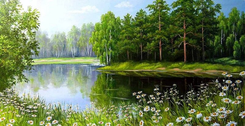 Daisies by a Lake — Green
