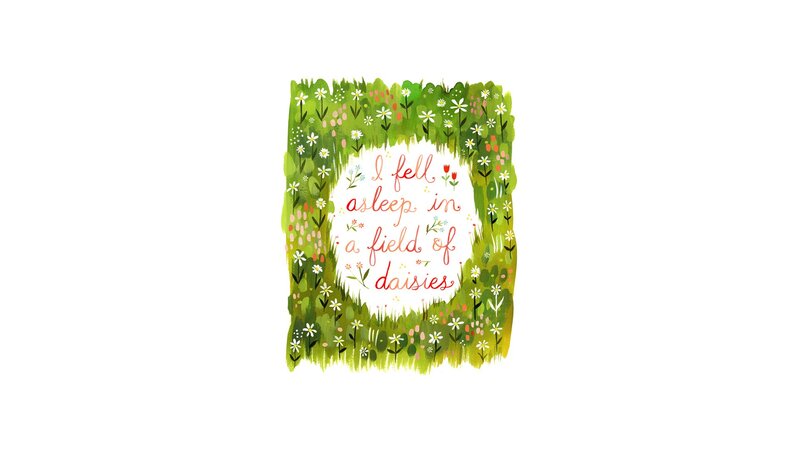 daisies field illustration