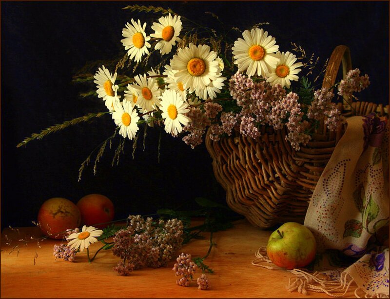 Daisies in a Basket — Brown