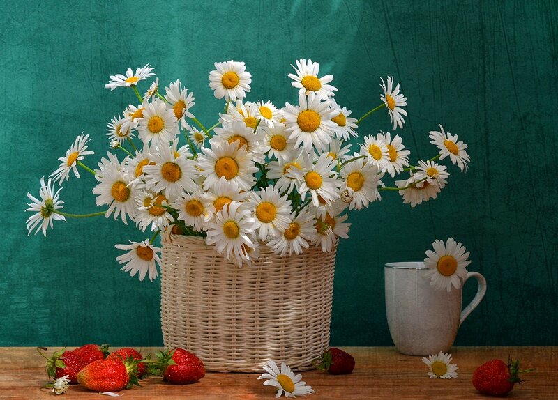 Daisies in a Basket — Green, Calm