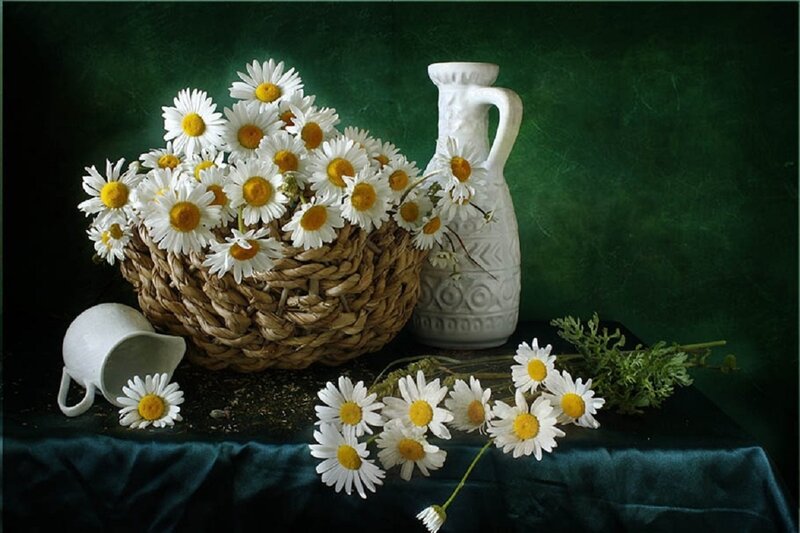 Daisies in a Basket — Green, Serene