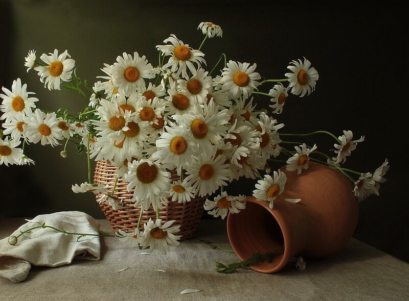 Daisies in a Basket