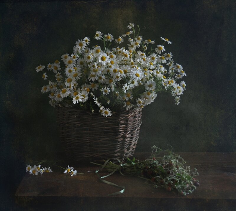 Daisies in a Basket — White, Calm, Photograph, Table