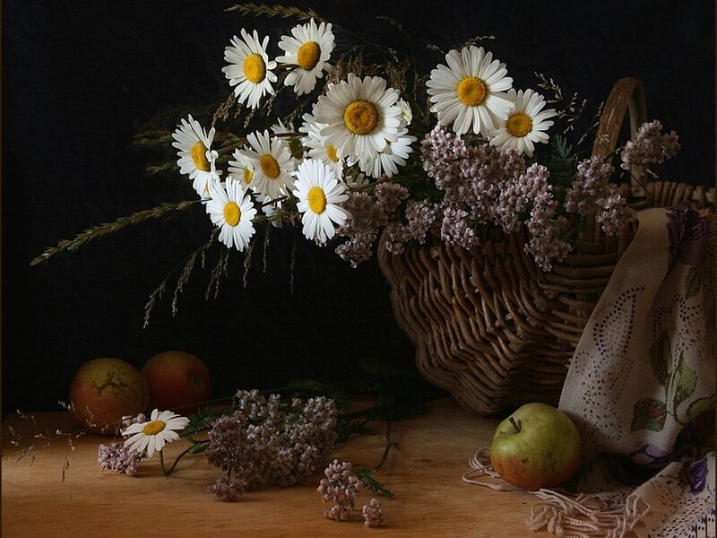 Daisies in a Basket — White, Serene, Photograph, Apples