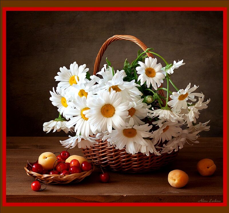 Daisies in a Basket — White, Serene, Photograph, Cherries, Apricots