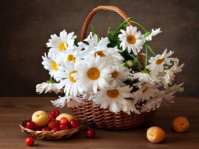 Daisies in a Basket — White, Serene, Photograph, Cherries