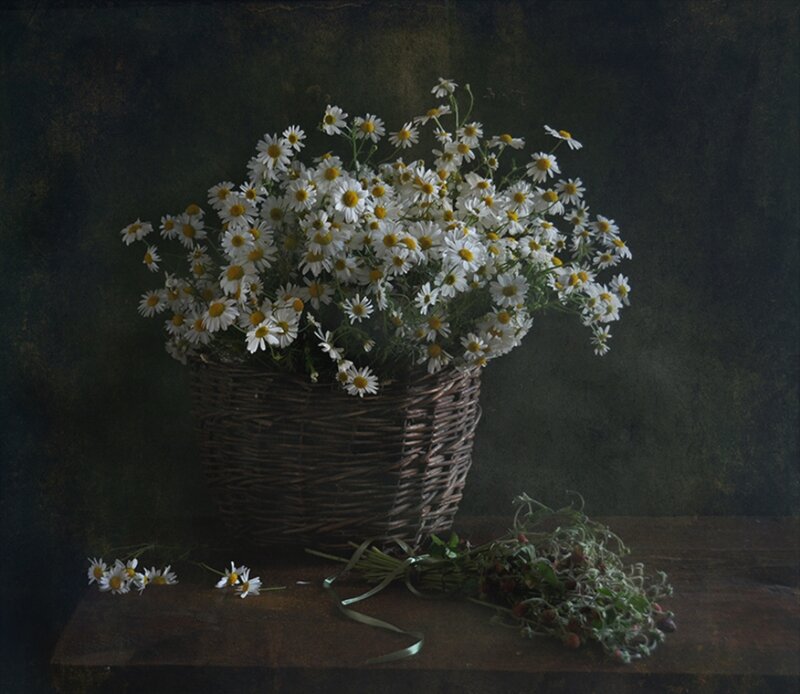 Daisies in a Basket — White, Serene, Photograph, Table