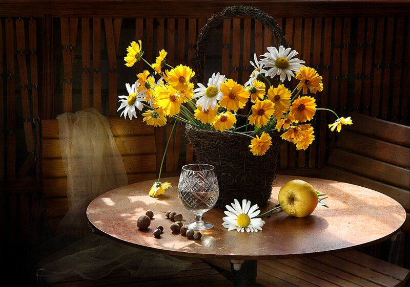 Daisies in a Basket — Yellow, Serene, Afternoon