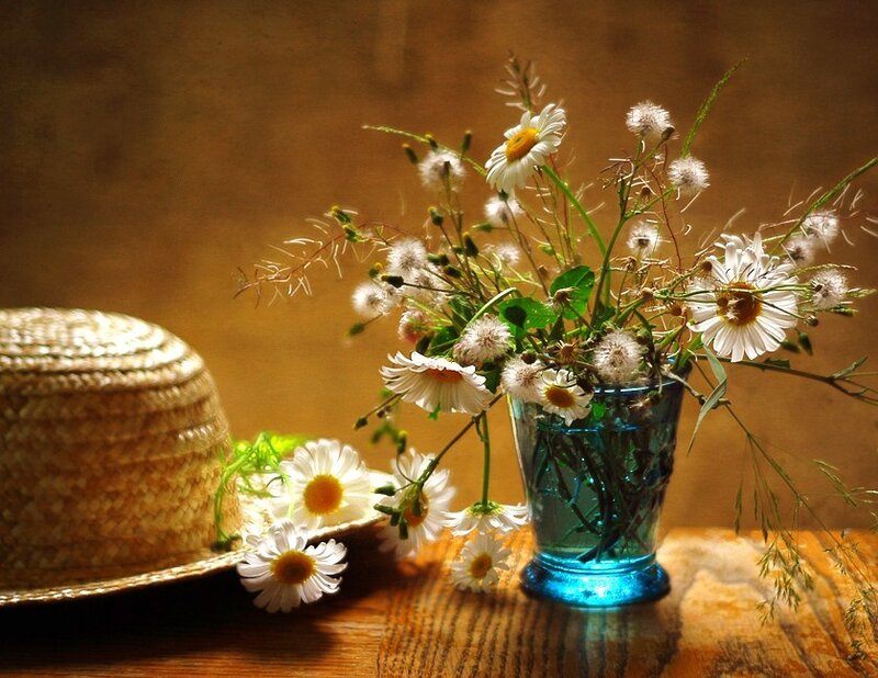 Daisies in a blue vase