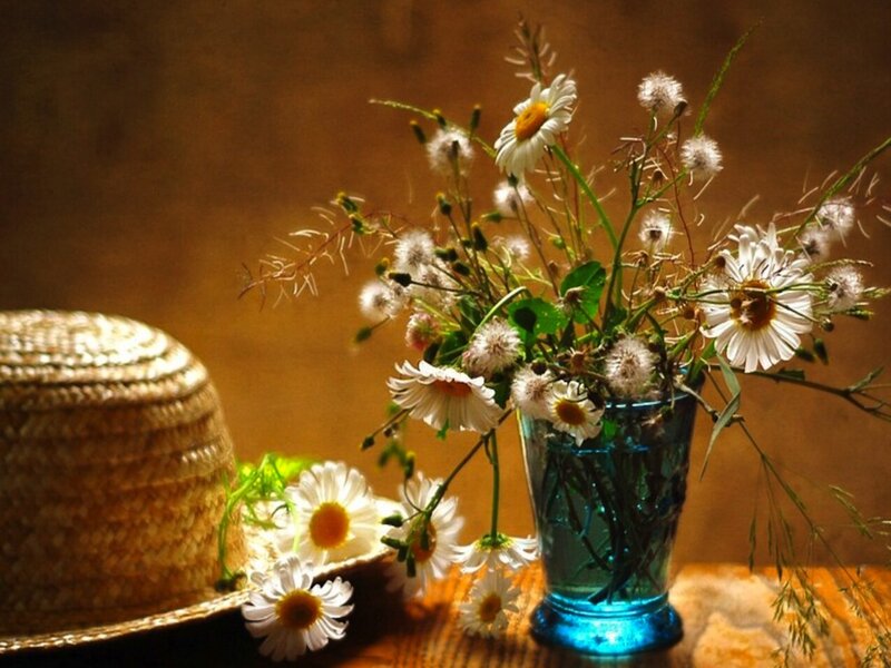 Daisies in a Blue Vase — Serene