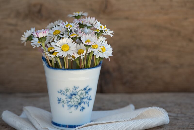 Daisies in a ceramic cup