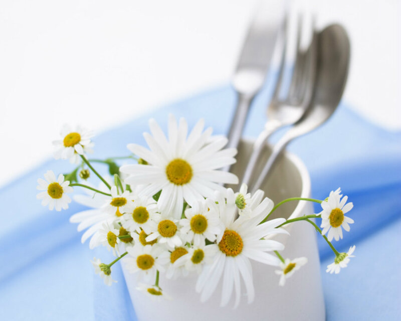 Daisies in a Cup — White, Serene