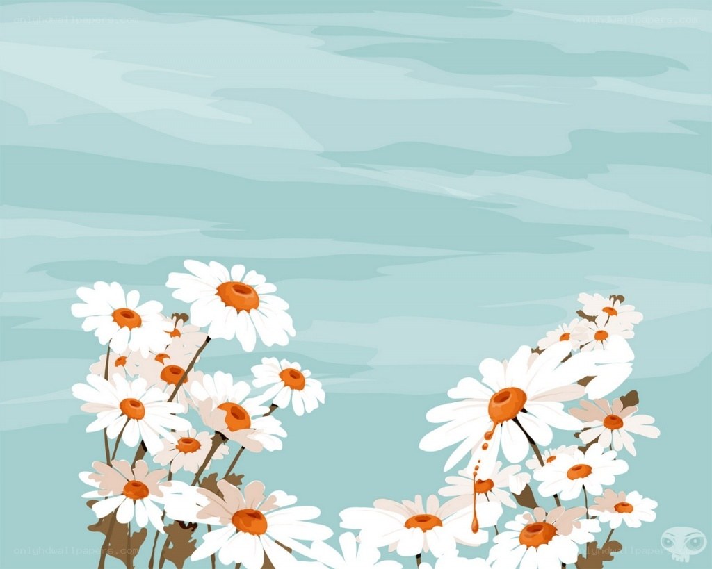 Daisies in a field