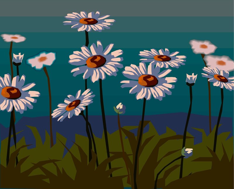 Daisies in a Field — Green, Calm, Night