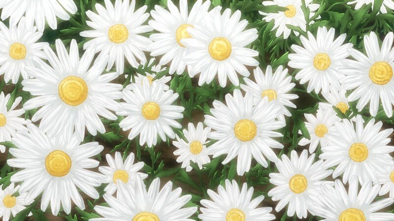 Daisies in a Field — White, Serene, Spring, Anime