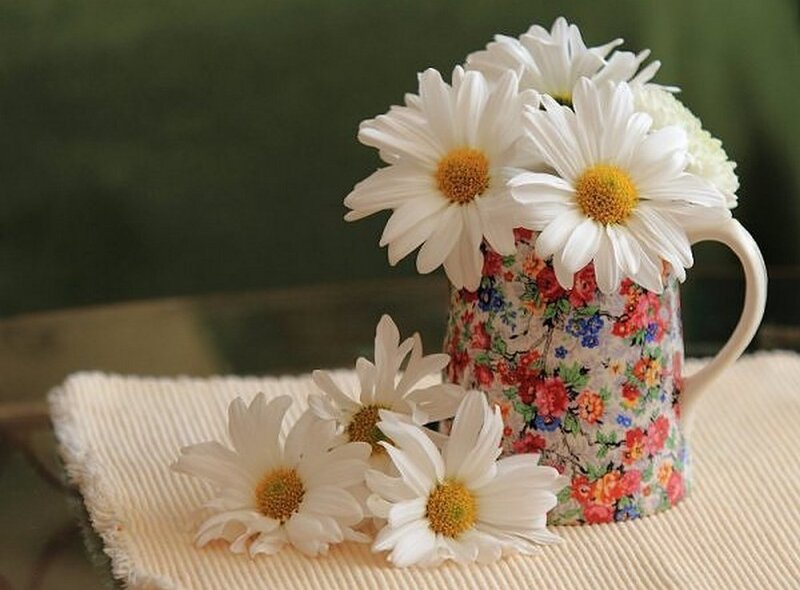 Daisies in a Floral Pitcher