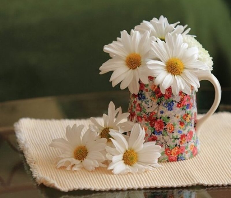 Daisies in a Floral Pitcher — White, Serene