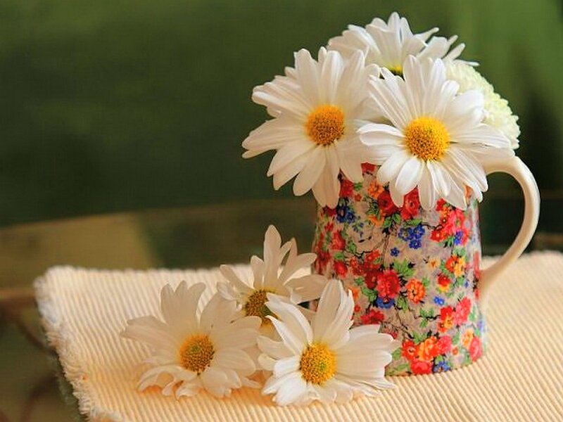 Daisies in a Floral Pitcher — White