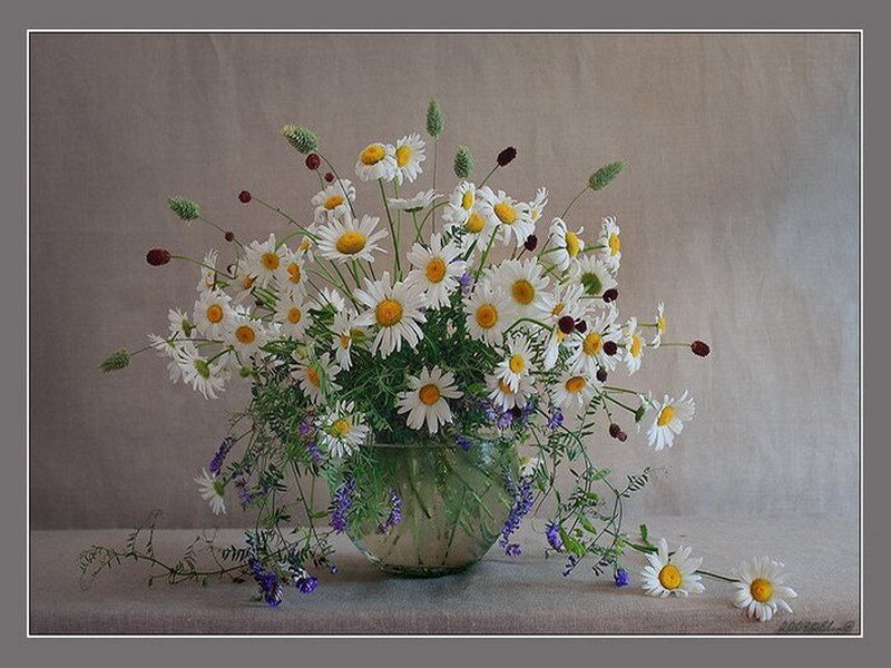 daisies in a glass vase