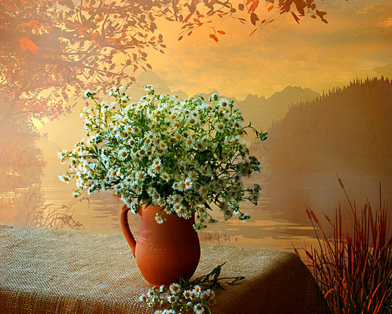 Daisies in a Jug