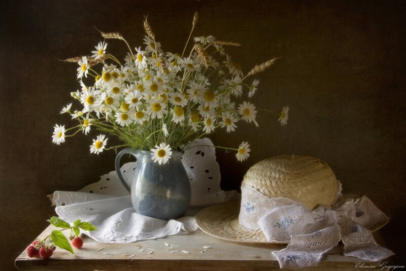 Daisies in a Jug — White, Serene