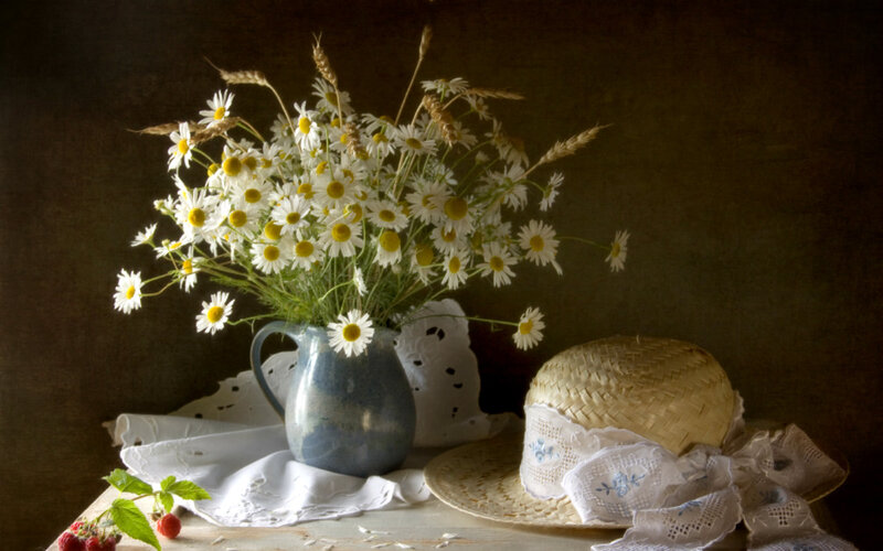 Daisies in a Jug — White