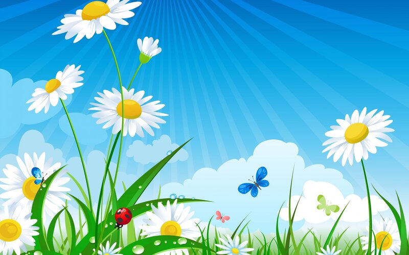 Daisies in a Meadow — Blue, Serene
