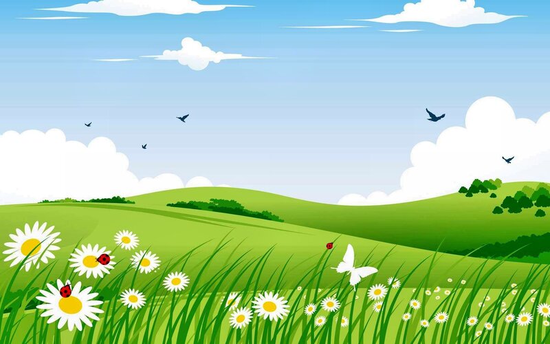 Daisies in a Meadow — Green, Serene