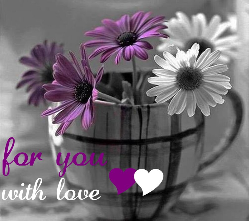 Daisies in a Mug — Purple