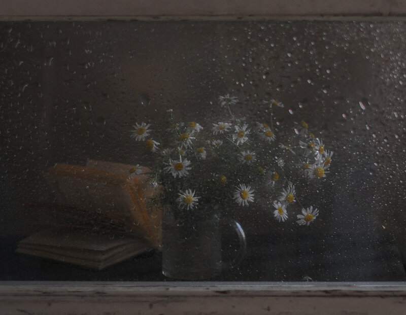 Daisies in a Mug — White, Calm