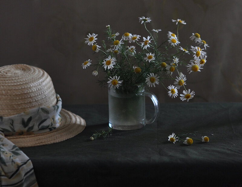 Daisies in a Mug — White, Serene