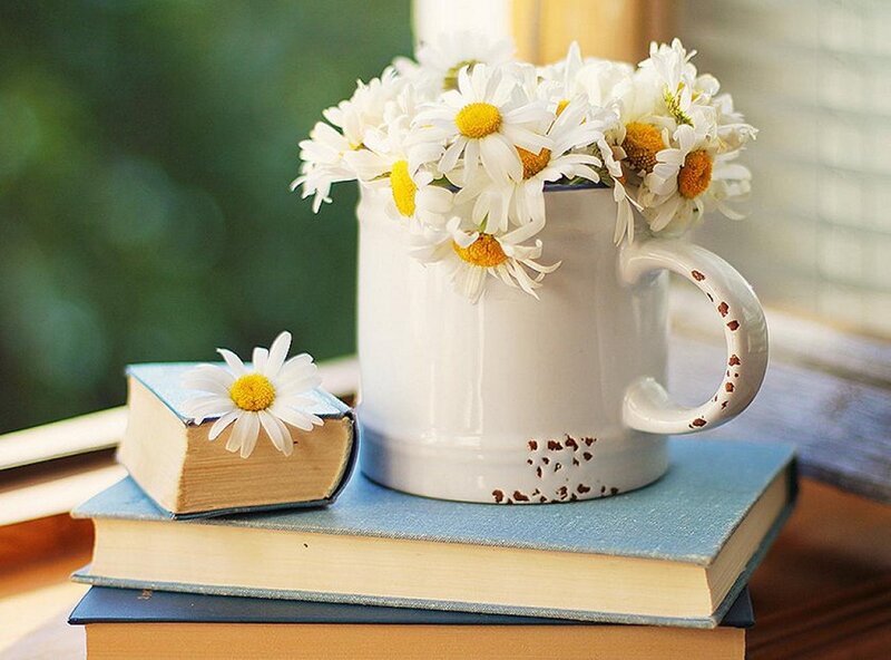 Daisies in a Mug — White