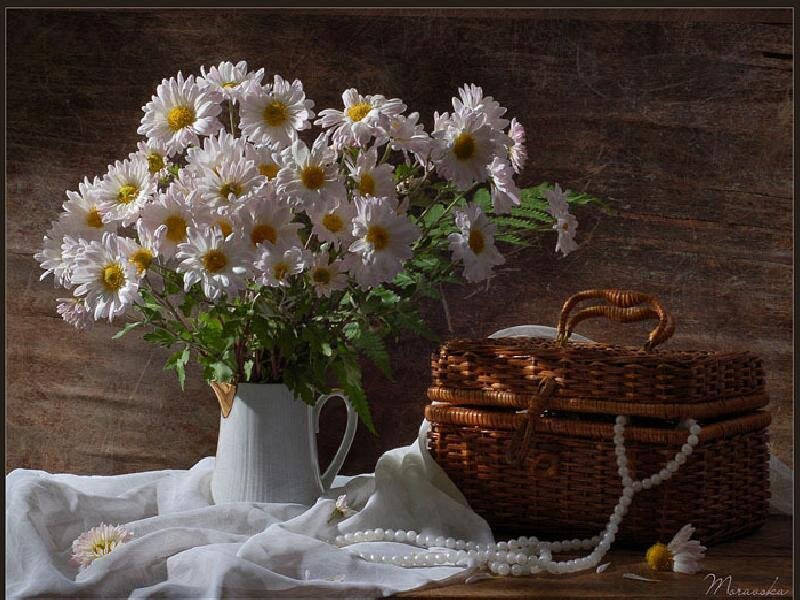 Daisies in a pitcher