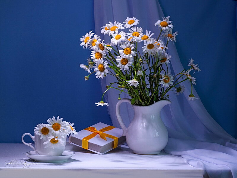 Daisies in a Pitcher — Blue