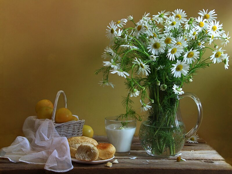 Daisies in a Pitcher — Brown, Serene